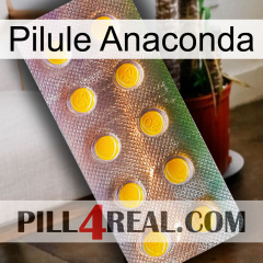 Anaconda Pill new11